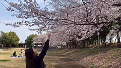 Sakura Enjoys Steamy Hot Springs Adventure With Nacchi