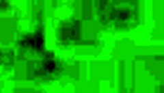 Intriguing Haitian queen moans with huge cock in florida caribbean vibe