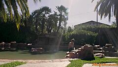 Stepsis Teasing Stepbro Into Hard Fucking With Deepthroat And Muff Diving