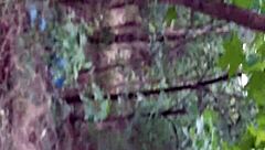 We Fuck In The Woods Hiding Our Lesbian Pussy Licking And Cumming