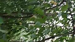 We Fuck In The Woods Hiding Our Lesbian Pussy Licking And Cumming