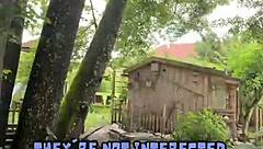 Chicken Feeding Station Highlights Cool Tattoos With Tattedup Inkedgirl And Tattooart Vibes