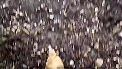 Chicken Feeding Station Highlights Cool Tattoos With Tattedup Inkedgirl And Tattooart Vibes