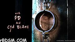 Detailed Servitude Scenes in Free Mobile Porn