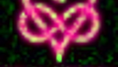 cute blonde sucks and swallows cum on public bus