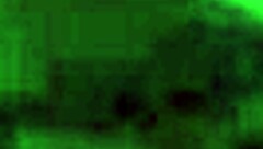 Lover savors sucking massive cock with passion