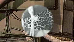 Vintage bondage reveals hairy pussy secrets