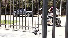 Amateur milf quickie fucking leads to intense orgasm