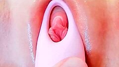 pussy teased by seductive vibrating toys