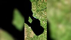 Ex-Girlfriend's Ass Crushed After Wild Party