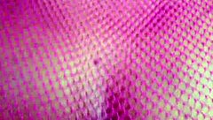 greedy bbw latina asshole winks anal plug closeup