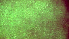 Latina Milf Wife Craves Intense Hardcore Pounding Action Now!