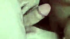 i crave arely's exotic mexican fire