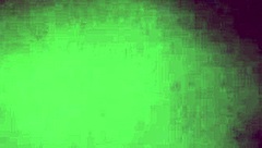 Kamilly Campos' Tempting Dildo Anal Tease