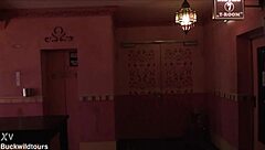 Inside Pascha: Wild Encounters in Cologne Germany!