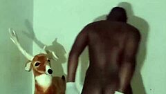 more clever ways to test zodiac patience minus masturbation