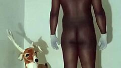 more clever ways to test zodiac patience minus masturbation