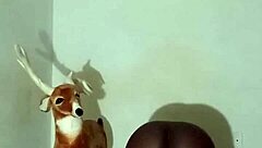 more clever ways to test zodiac patience minus masturbation