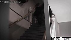 Chubby housewife shamed by husband's fat bbw mistress deepthroat