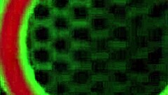 Mexican spinner Sheri Vi rides Rome's massive cock to orgasm