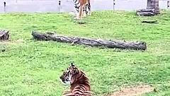 mexico trip wild clothes-ripped recap