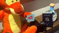 mexico trip wild clothes-ripped recap