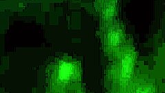 Banging my juicy ass pussy group style hard