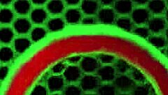 Petite brunette Nikyee Cruz drenched in pool pounding