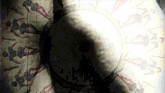 Vintage Hairy Beaver Secrets Revealed