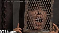 Bound Slaves Endure Worthless Hot Punishment