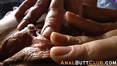 Big Ass Gaping Anal Toy Masturbation Fetish Compilation High Definition