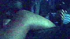 Guy Jerks Oiled Monster Black Cock Close-Up Moaning Cumshot