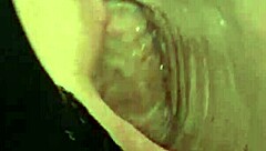 mature housewife strokes hubby lovingly sucks cock with passion