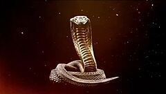 craving your hot load deep in my tight ass