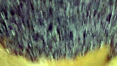 He devours my dripping fat pussy taste endlessly