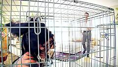 romi rain's tight ass filled with manuel ferrara's creampie