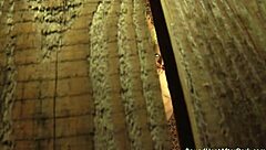 Voyeur Lesbian Slave Watches Horny Mistresses Finger Each Other