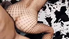 Wife Rides Cowgirl In Erotic Mesh Bodysuit Wildly!