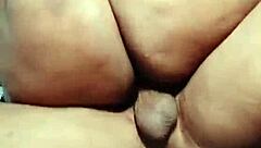 nigarchrist petal update from june 15