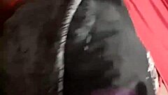 conversational starts with cock sucking now raw pussy fucking babe