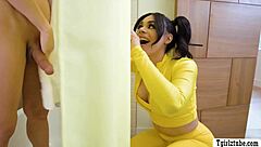 three sexy shemales bareback ass fuck each other