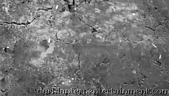 dark lantern entertainment unveils my secret vintage life story