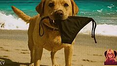 lucy enjoys her naked beach day enf story