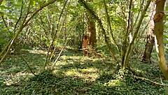 Tease your wild side with Brittany woods outdoor sex