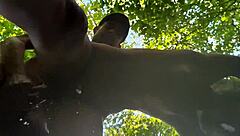 Tease your wild side with Brittany woods outdoor sex