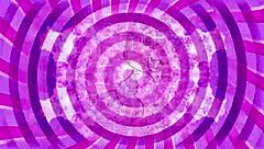 Lick Every Drop of Cum from This Black Cock Sissy!