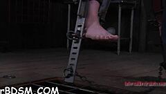 omg engulf this massive hard toy penis slave style now