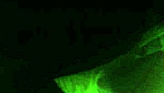 chubby mature blows and fingers eagerly