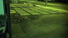 Hairy teen bound, wanna fuck her feet first?