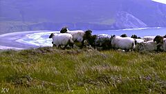 check out the 26 edenists handmade objects group show at tate modern now ongoing